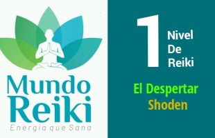 Nivel 1 Reiki - Mundo Reiki